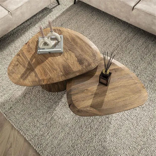 Table Basse Bois de Manguier Vue Dessus