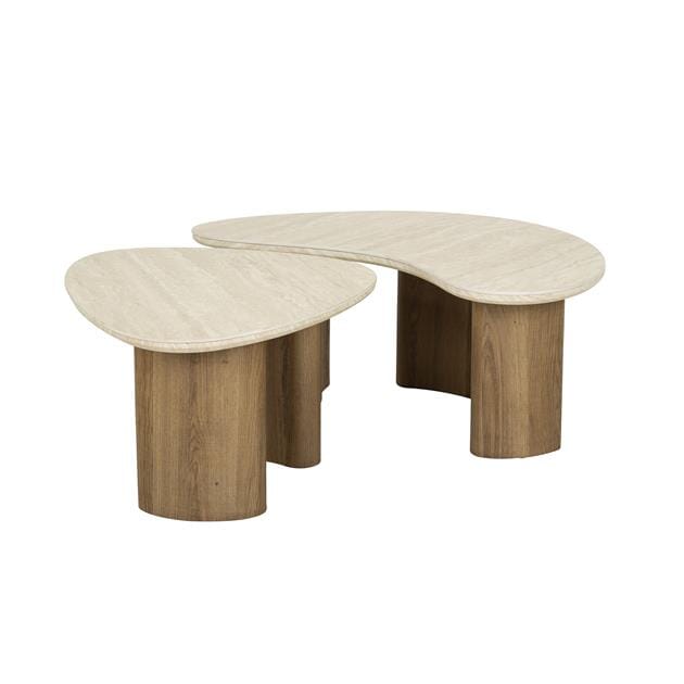 Ensemble de deux tables basses organiques, design moderne