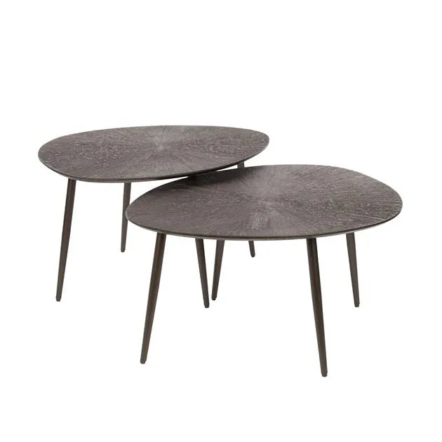 Table Basse Organique  Fond Blanc