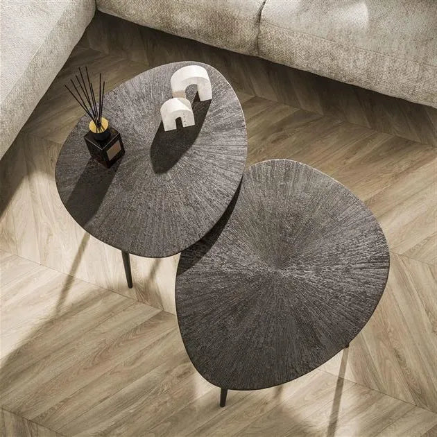 Table Basse Organique Vue Dessus