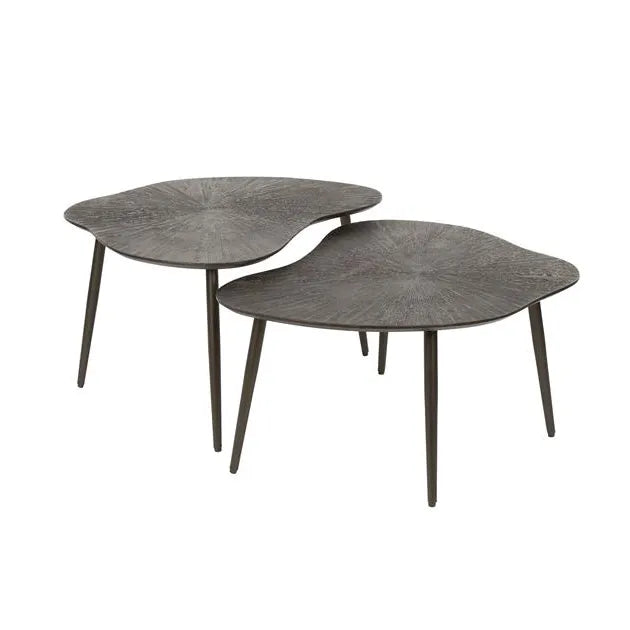 Table Basse en Métal Fond Blanc