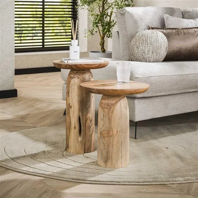 Table d&#39;Appoint Acacia Massif Ensemble