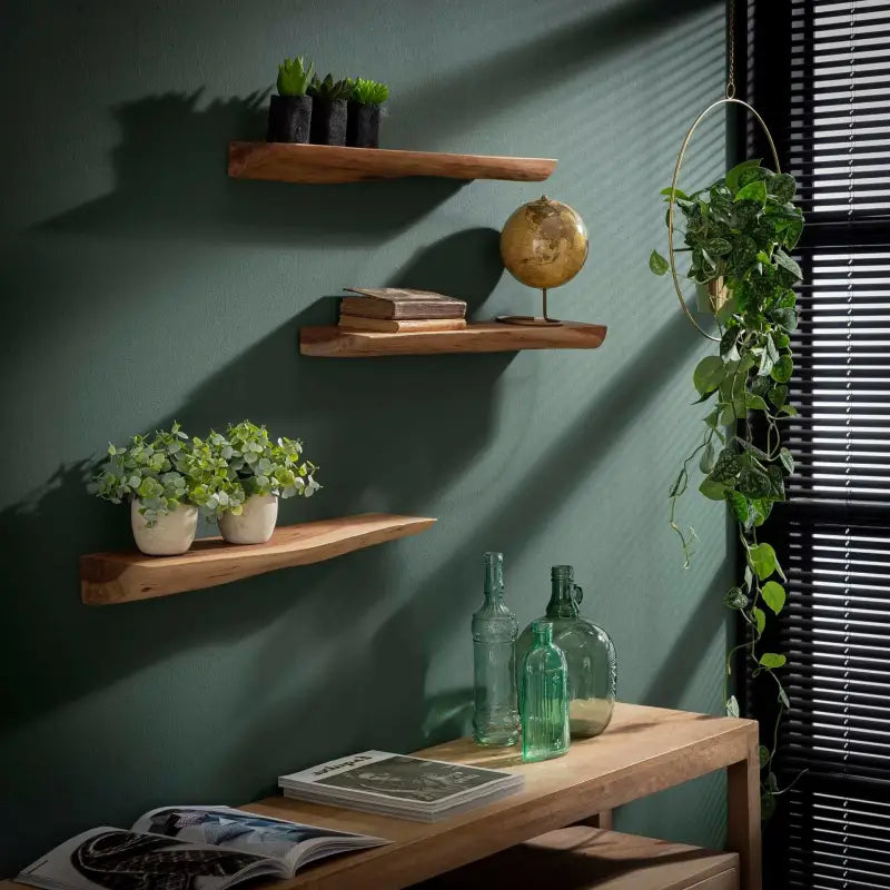 Petite étagère murale bois green