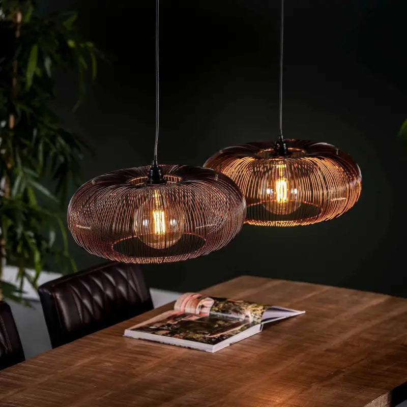 Suspension Industrielle Vintage 2 lampes